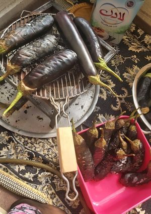 عکسی از دستور بادمجون کبابی برای میرزا قاسمی