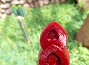 Una foto de Helado frutal guinda, para niñ@s sin azúcar