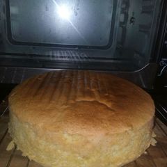 Spongy cake A picture of Spongy cake.