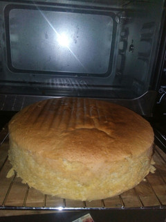 A picture of Spongy cake.