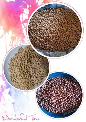 Foto resep Kacang Telor Goyang