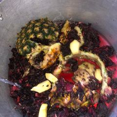 A picture of Zobo.