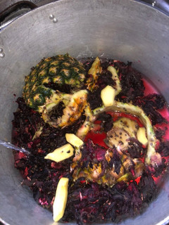 A picture of Zobo.