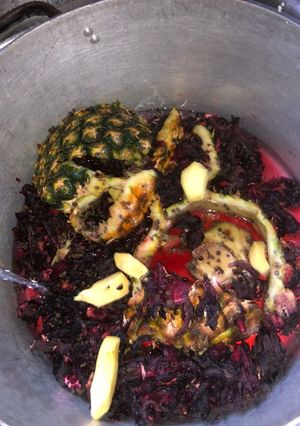 A picture of Zobo.