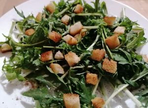 Une photo de Mesclun de mizuma et cresson alienois