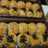 Bolen pisang