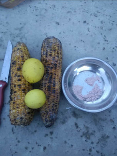 तंदूरी भुट्टा (tandoori Bhutta recipe in Hindi) रेसिपी मुख्य फोटो