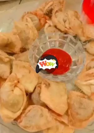 A picture of Beef Wontons.