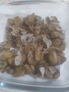 Una foto de Champiñones