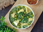 Gambar cepokak daun singkong