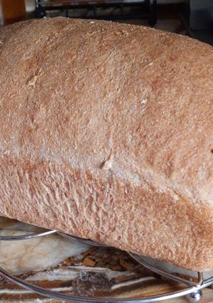Una foto de Pan Integral tipo molde 🍞
