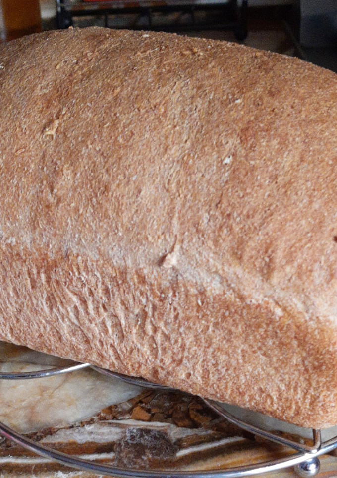Una foto de Pan Integral tipo molde 🍞