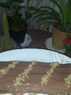 عکسی از دستور کیک یخچالی😘😋