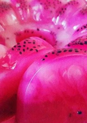 Foto resep Puding Buah Naga