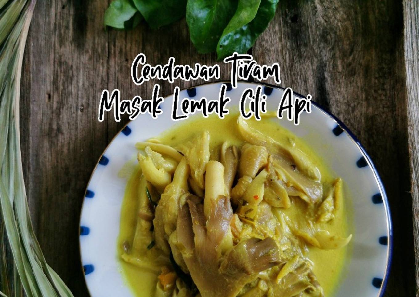 Cendawan tiram masak minyak cili