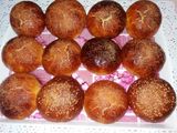 بريوش