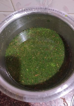 પાણી પૂરી નુ પાણી (Panipuri Pani Recipe In Gujarati) રેસીપી મુખ્ય ફોટો