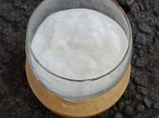 Gambar yoghurt biokul