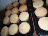 Plain vanilla cupcakes