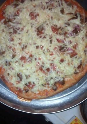 A picture of All beef pizza.