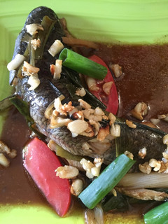 Foto resep Tim Ikan Gabus