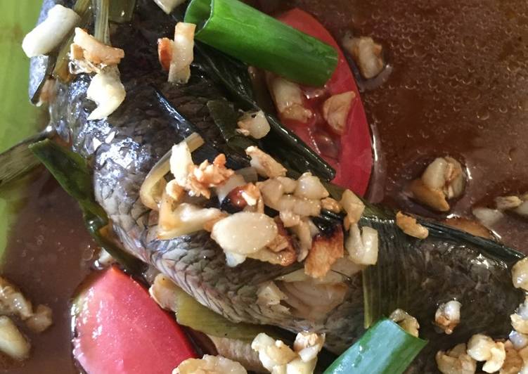 Tim Ikan Gabus