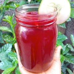 A picture of Zobo.