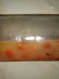 Salsa de rocoto (picante)