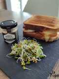 Sandwich scarmoza, coppa et truffe d'été