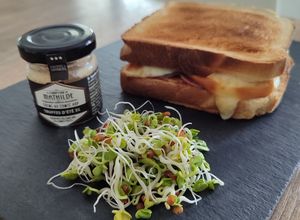 Une photo de Sandwich scarmoza, coppa et truffe d'été