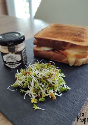 Une photo de Sandwich scarmoza, coppa et truffe d'été