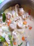 Tom Kha Gai (Beginner’s Thai Coconut Chicken Soup) 🥘