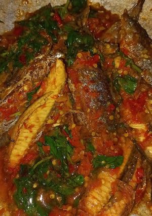 Foto resep Sambal ikan tongkol kemangi pedas nampoll