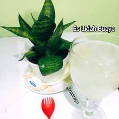 A picture of #Es Lidah Buaya.