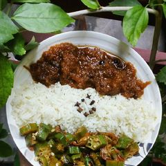 A picture of Rice, pumpkin and lady finger vegetables.