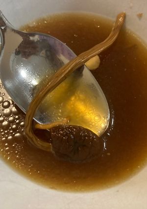 🥣茶樹菇蟲草花排骨湯 的食譜成品照片