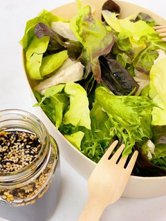 和風雞肉沙拉 的食譜成品照片