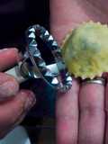 Ravioli agli spinaci