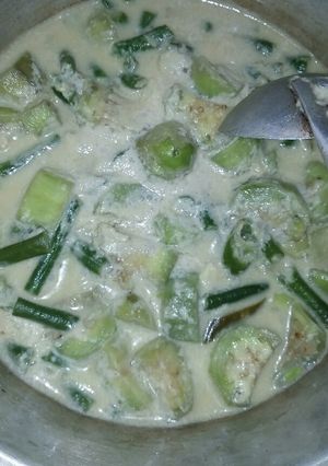 Foto resep Lodeh Terong Ala Ndeso