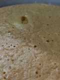 Genovesa