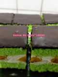 Cake Pandan Susun Pisang Keju Coklat