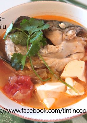 營養師健康湯水: 三文魚頭豆腐湯 的食譜成品照片