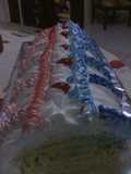 Brazo gitano