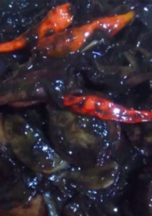 Foto resep Sambal goreng cumi hitam