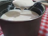 Yogur casero