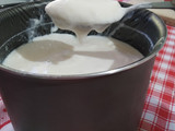 Yogur casero