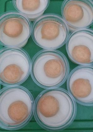 Foto resep Puding egg drop biscuit