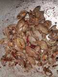 Kerang batik masak saus lada hitam