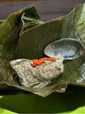 25. Gadon Daging Sapi