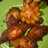 Ayam goreng bumbu kuning
